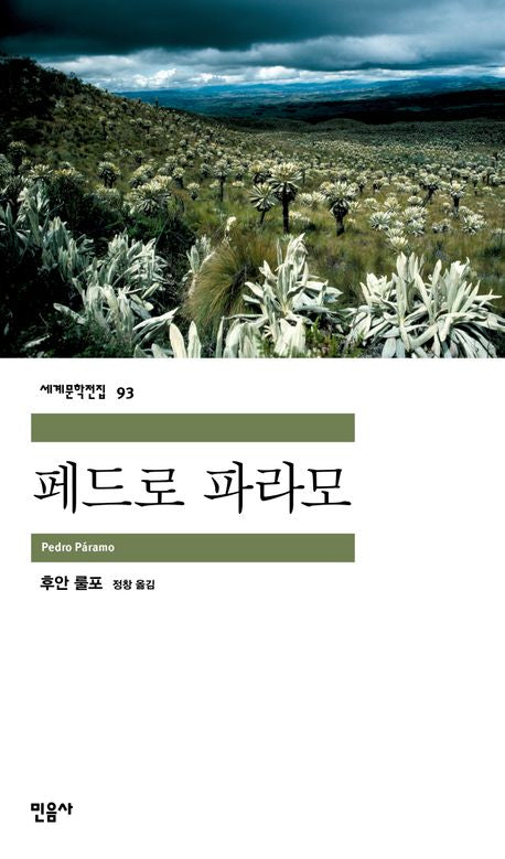 페드로 파라모(세계문학전집 93)