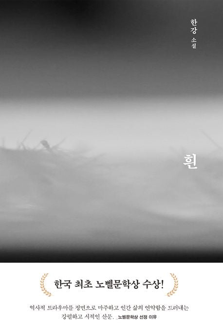 흰(2판)(양장본 Hardcover) - 문학동네