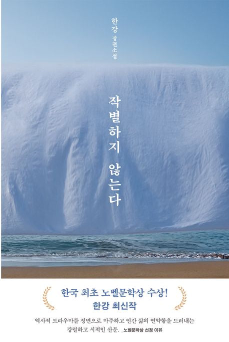 작별하지 않는다 - 문학동네