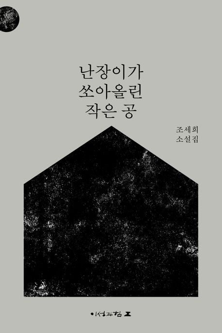 난장이가 쏘아올린 작은 공