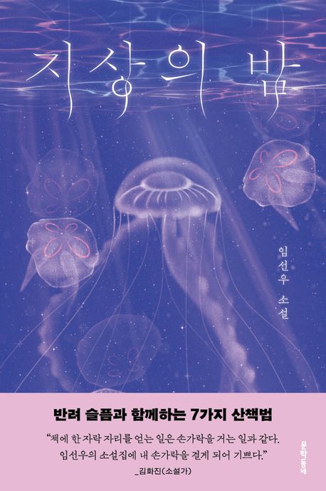 지상의 밤