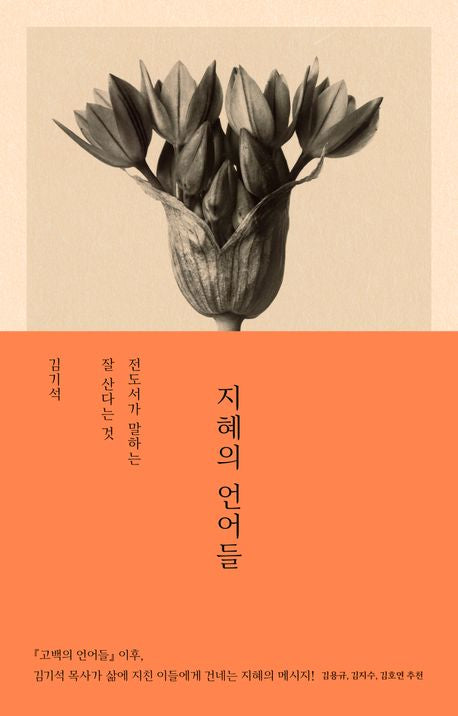 지혜의 언어들(언어들)