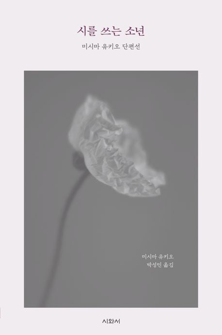 시를 쓰는 소년